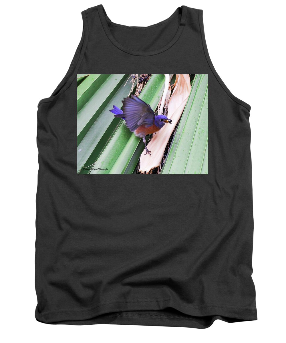 Bird Tank Top featuring the photograph The Berry and the Blue Bird by Tahmina Watson