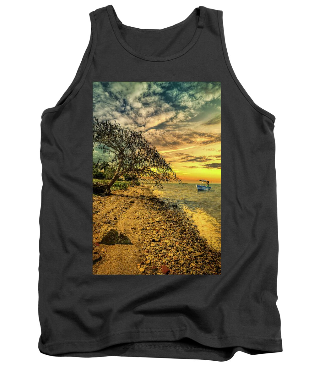 Cuba Tank Top featuring the photograph The Carob Tree by Micah Offman