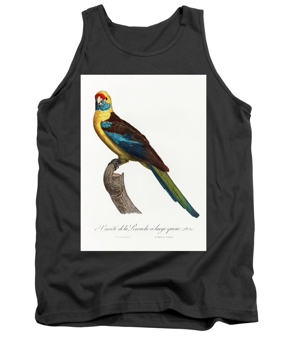 Animal Tank Top featuring the digital art The Crimson Rosella Platycercus elegans from Natural History of Parrots by Francois Levaillant by Celestial Images
