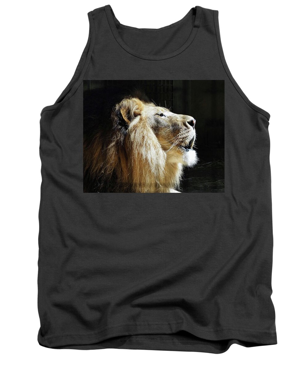 African Lion Tank Top featuring the photograph The King by Scott Olsen