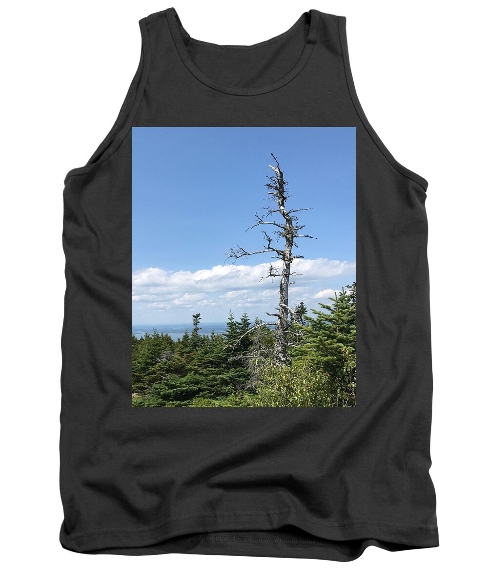 Tree Tank Top featuring the photograph The Old Man #1 by Lee Darnell