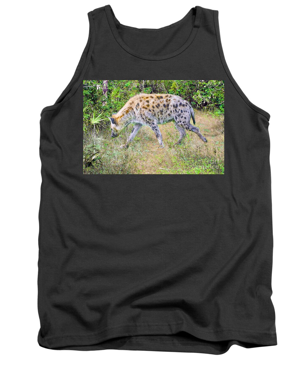 African Animals Tank Top featuring the photograph The Prowler by Judy Kay