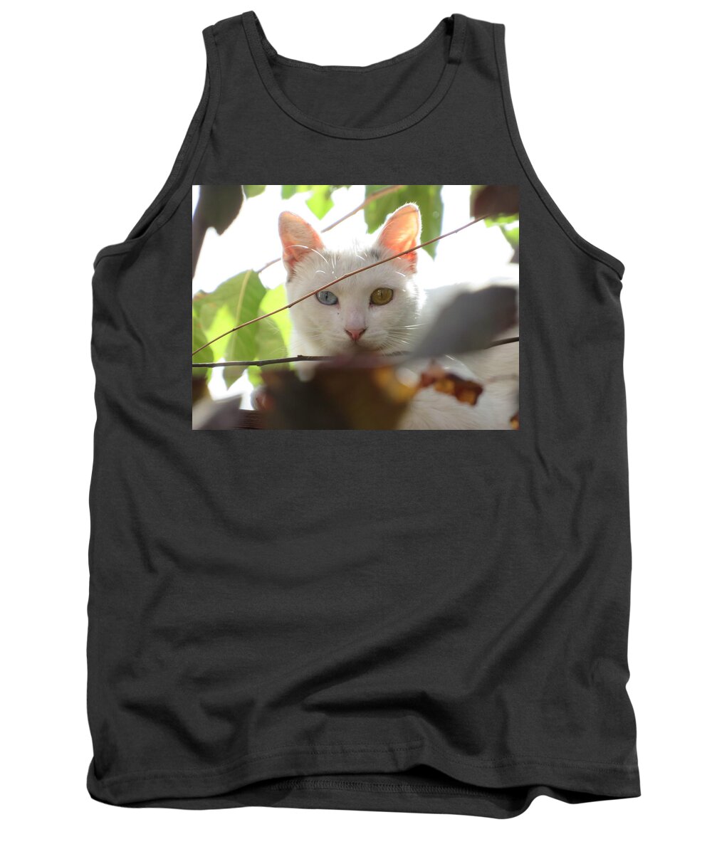  Tank Top featuring the photograph The Watcher by Raymond Fernandez