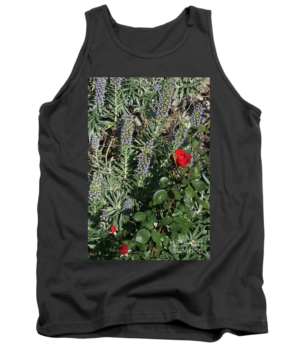Ecchium Tank Top featuring the photograph Thorns by Cynthia Marcopulos