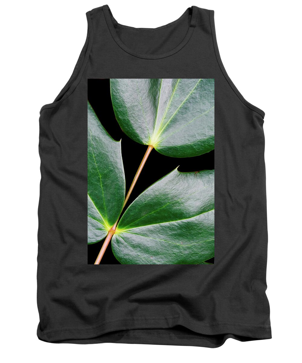 Ivy Tank Top featuring the photograph Three Ivy Leaves Connected by Gary Slawsky