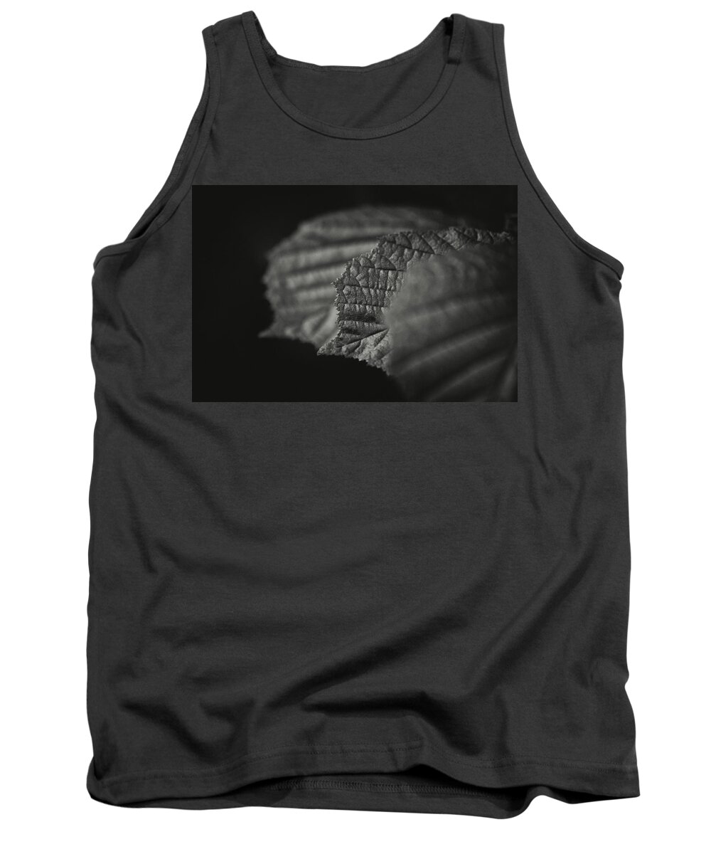 Shallow Tank Top featuring the photograph Three leaves by Martin Vorel Minimalist Photography