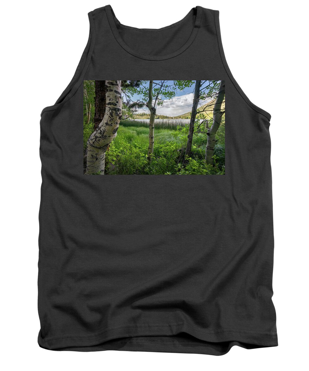 Eastern Sierra Tank Top featuring the photograph Through the Aspens by Laura Macky