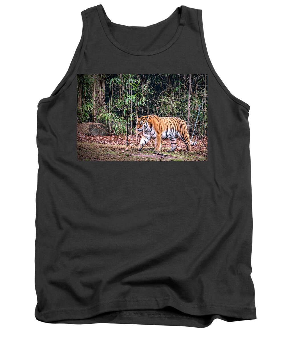 Tiger Tank Top featuring the photograph Tiger by Sandi Kroll