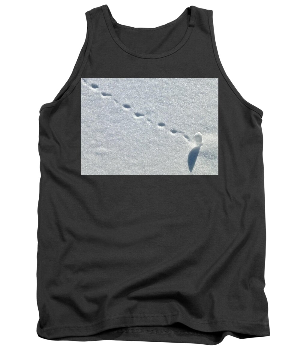 Abstraction Tank Top featuring the photograph Tiny Rolling Snowball Leaf by Amelia Racca