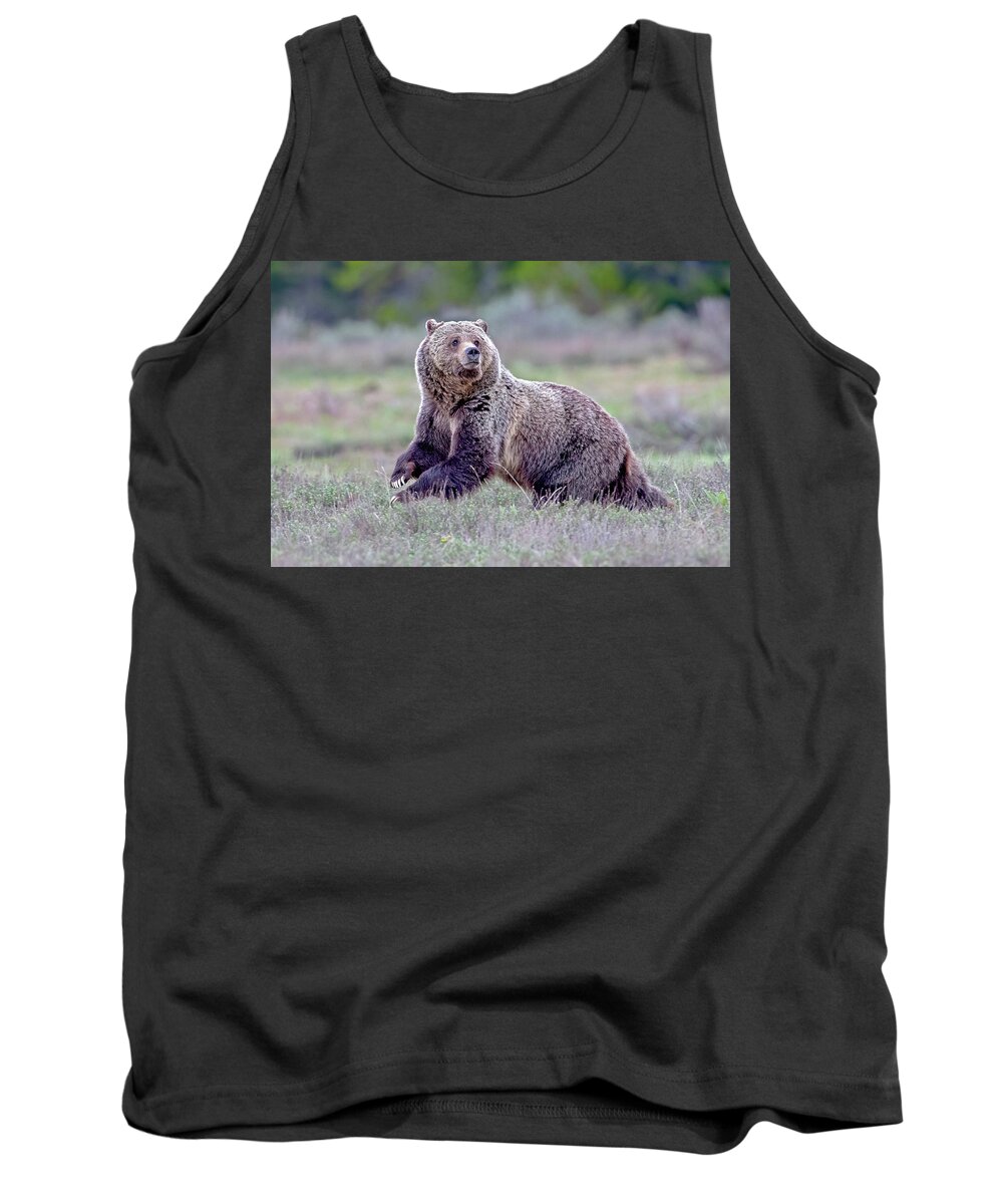 Grizzly Bear Tank Top featuring the photograph Top of the Food Chain by Jack Bell