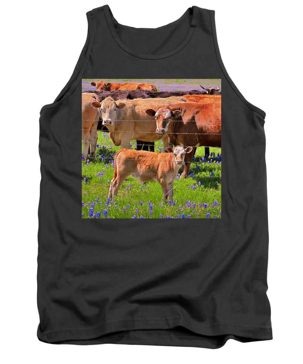 Texas Bluebonnets Tank Top featuring the photograph Totally Texas - Cow calf Bluebonnets - Wildflowers Landscape by Jon Holiday