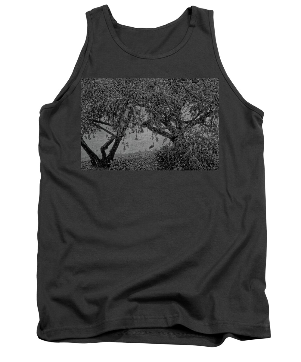 Black And White Tank Top featuring the photograph Trees and Ibis by Alan Goldberg