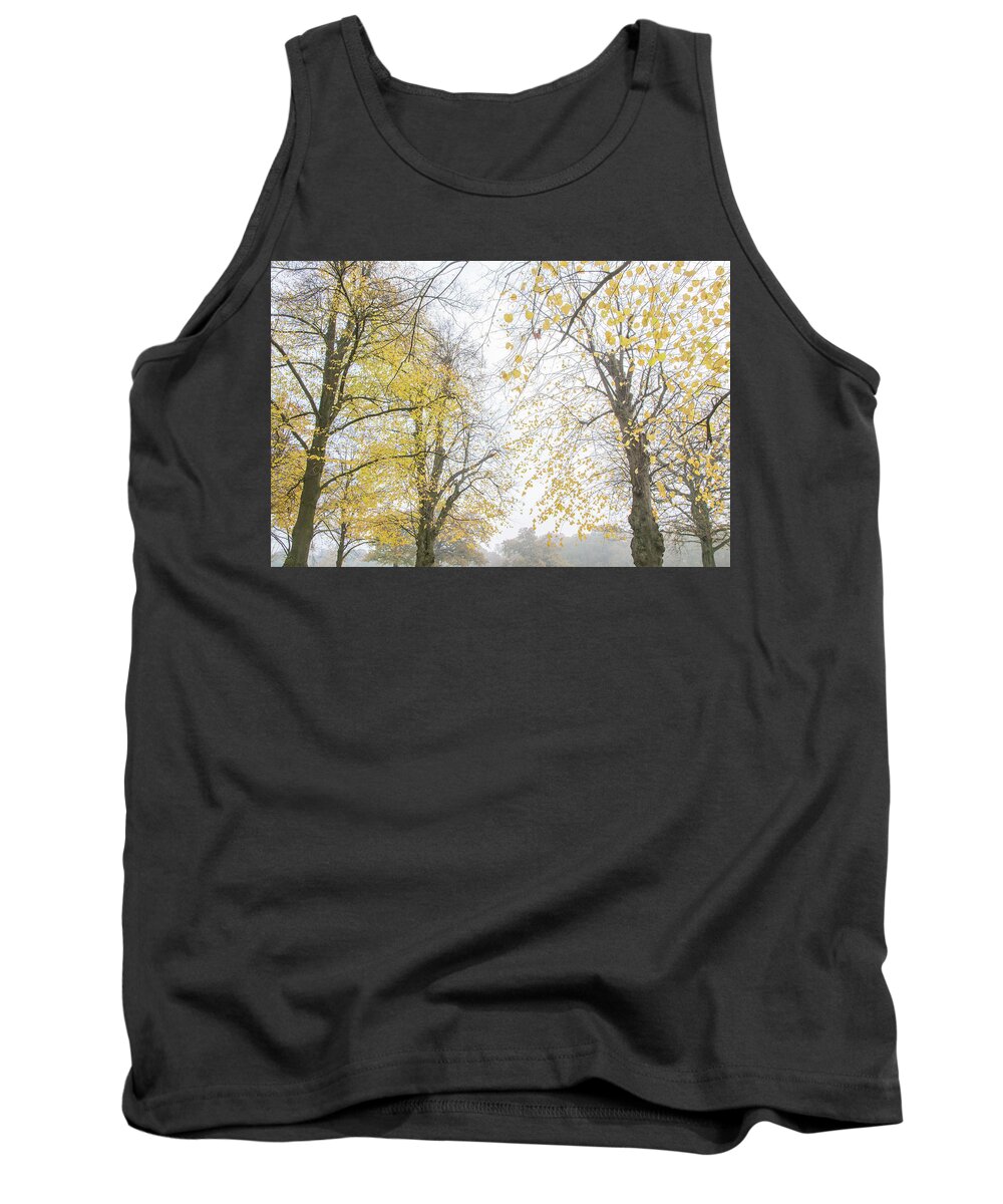 Trent Park Tank Top featuring the photograph Trent Park Trees Fall 14 by Edmund Peston