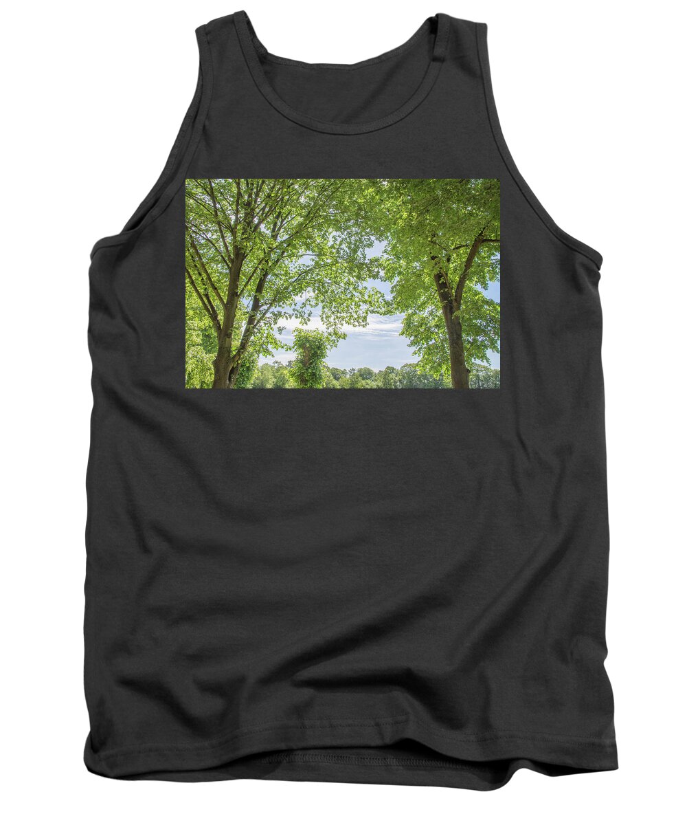 Trent Park Tank Top featuring the photograph Trent Park Trees Summer 1 by Edmund Peston