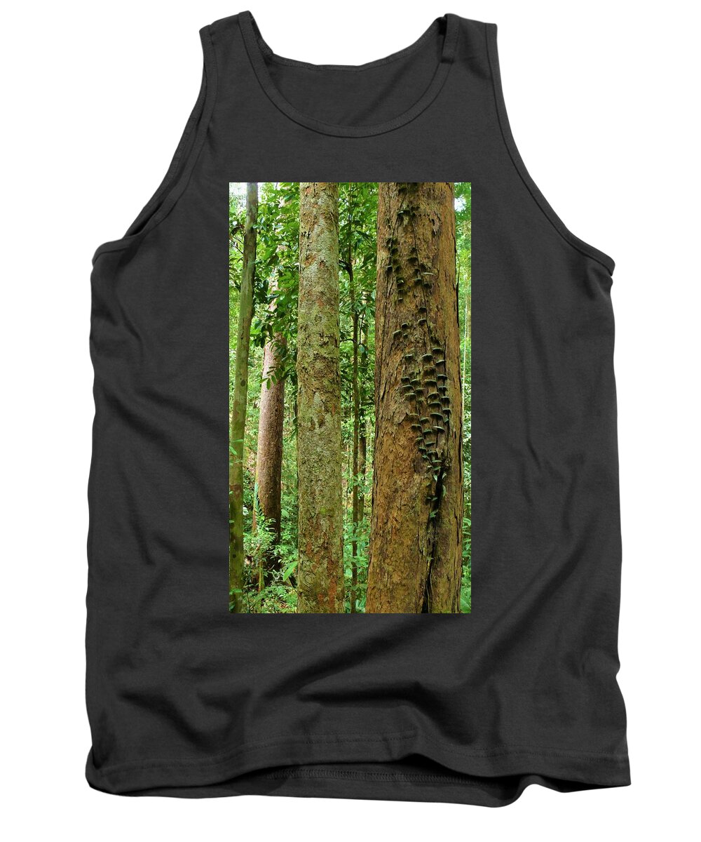 Tropical Forest Tank Top featuring the photograph Tropical Forest 1 by Robert Bociaga