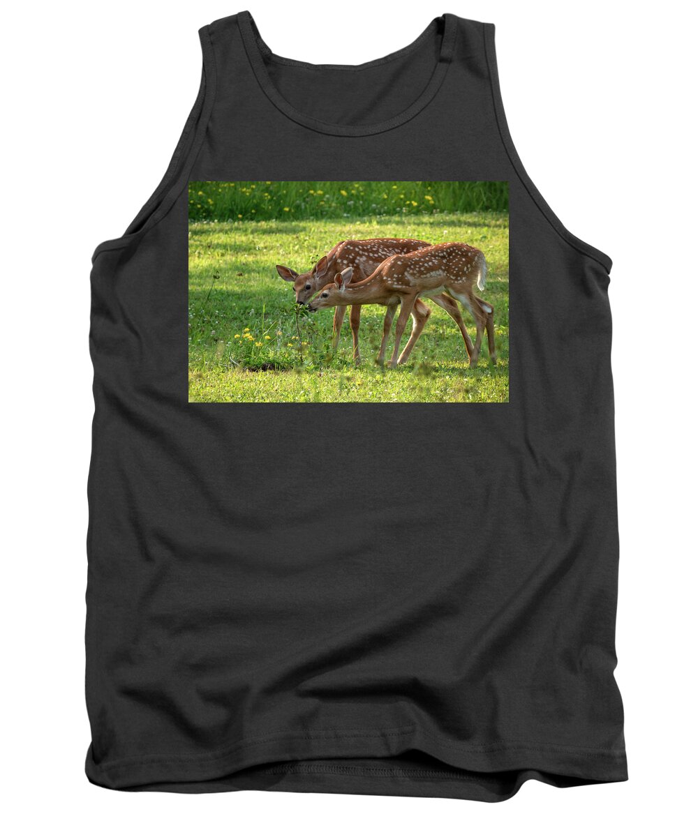 Twin Fawns Tank Top featuring the photograph Twin Fawns Baby Deer by Sandra J's