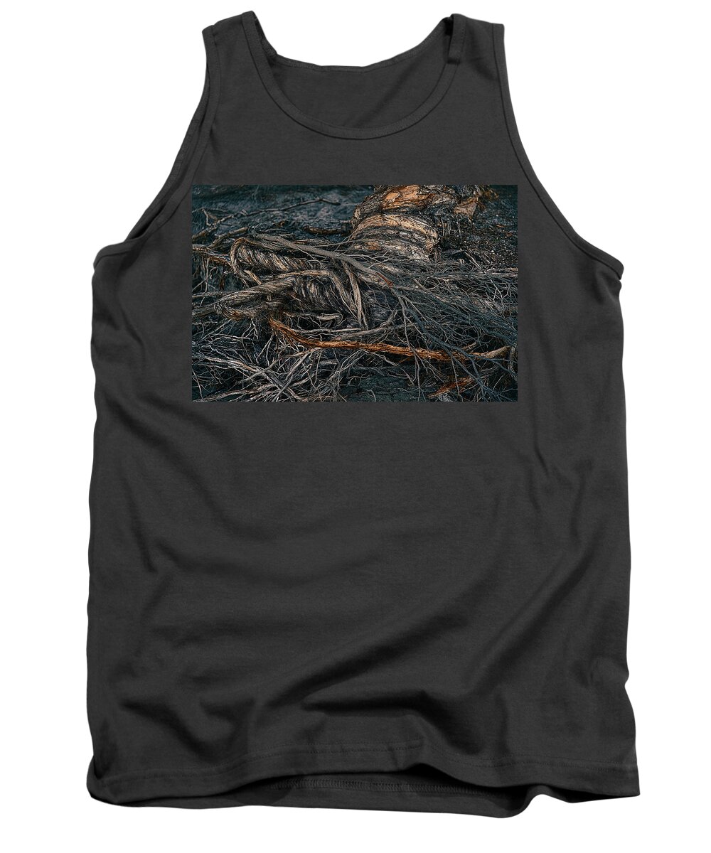 Australia Tank Top featuring the photograph Twisted by Jay Heifetz
