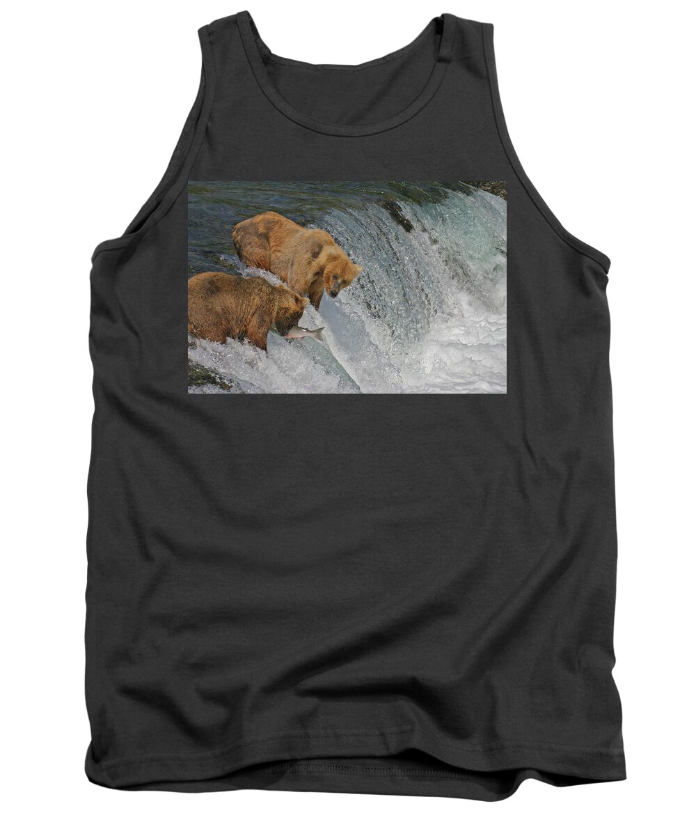 Bear Tank Top featuring the photograph Two Bears one catch by Ed Stokes