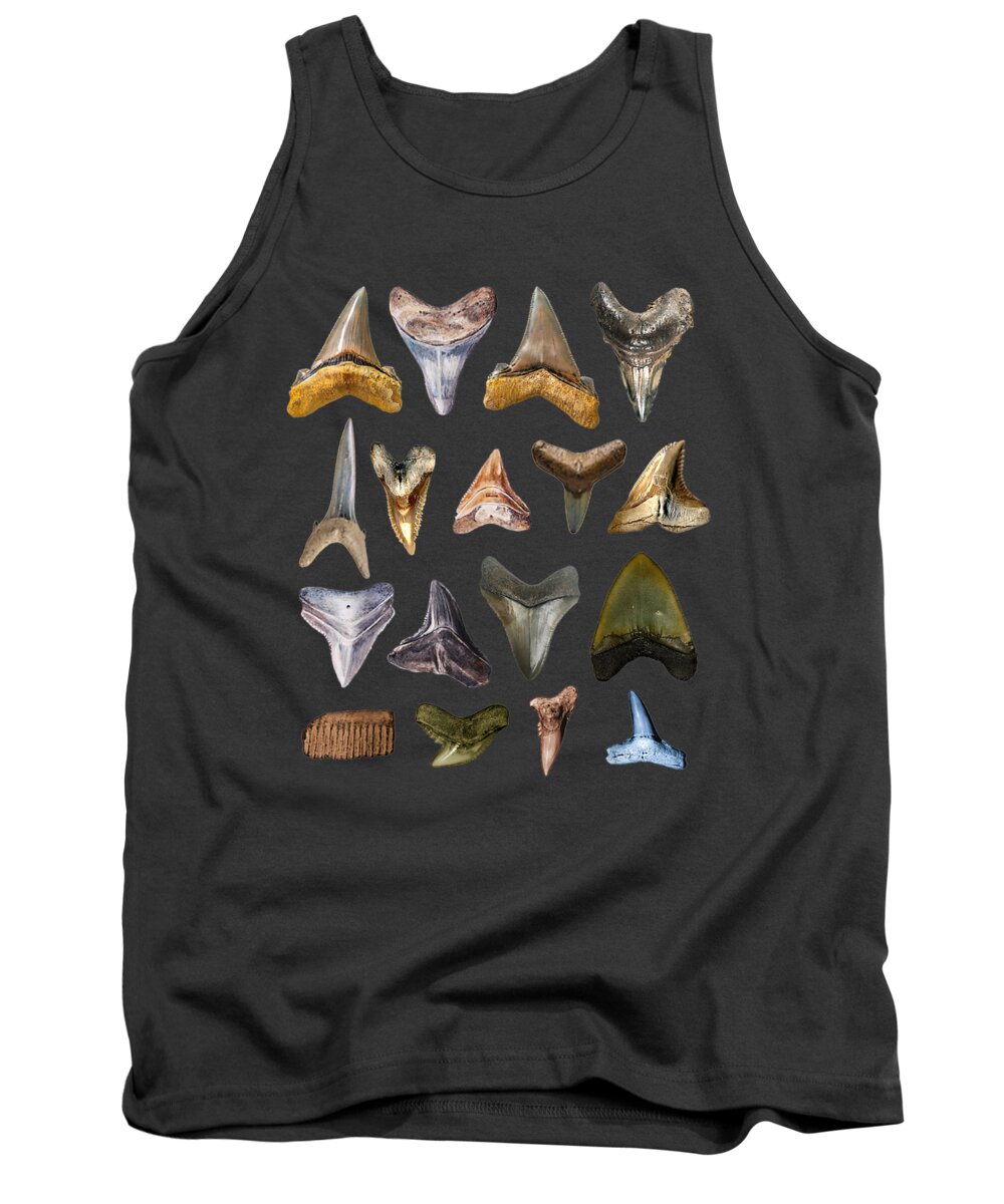 Types Of Shark Teeth I Species Of Sharks Gift Tank Top by Do Tran Quang -  Pixels
