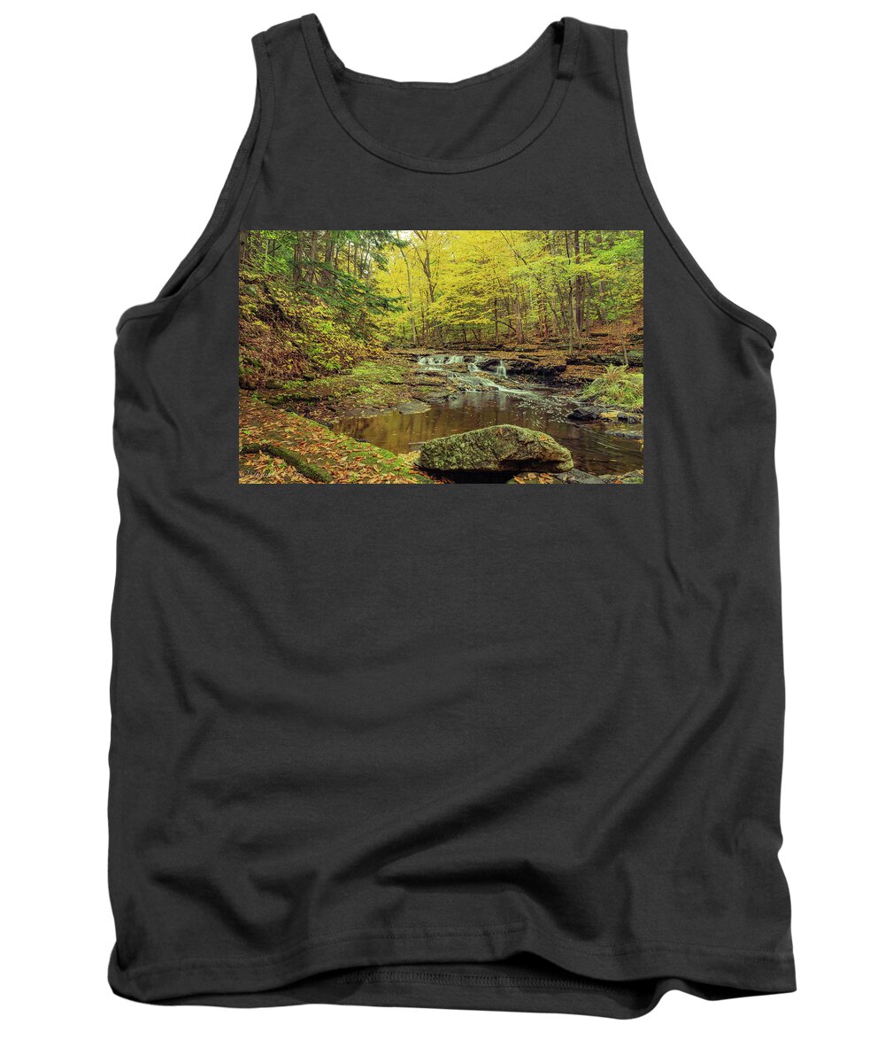 Landscape Tank Top featuring the photograph Vaughan Brook in Vaughan Woods by David Lee