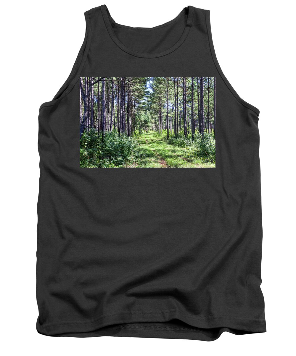 Forest Tank Top featuring the photograph Very Green Gray Woods by Ed Williams