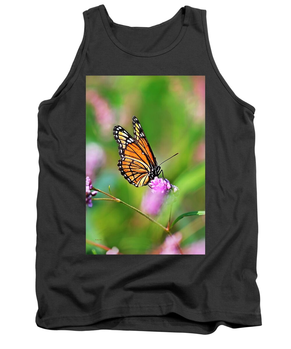Butterflies Tank Top featuring the photograph Viceroy Butterfly by Christina Rollo