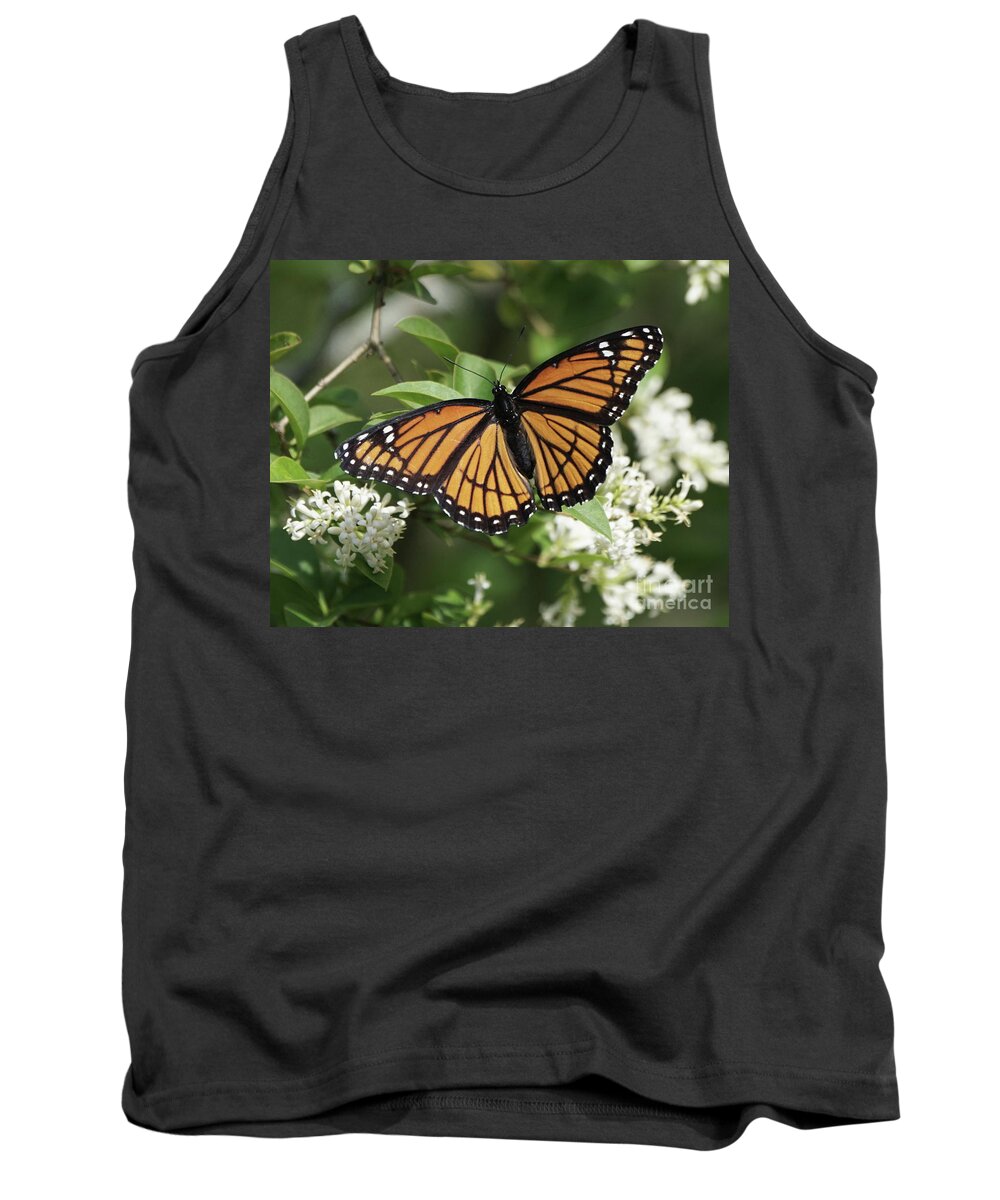 Viceroy Butterfly Tank Top featuring the photograph Viceroy Butterfly on Privet Flowers by Robert E Alter