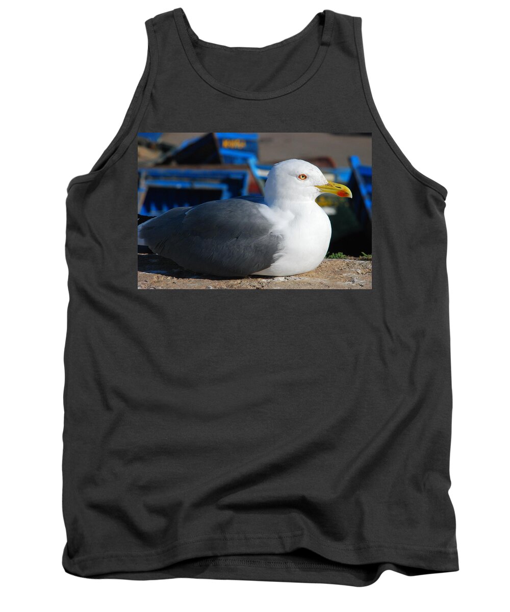 Seagull Tank Top featuring the photograph Waiting for Fish by Six Months Of Walking