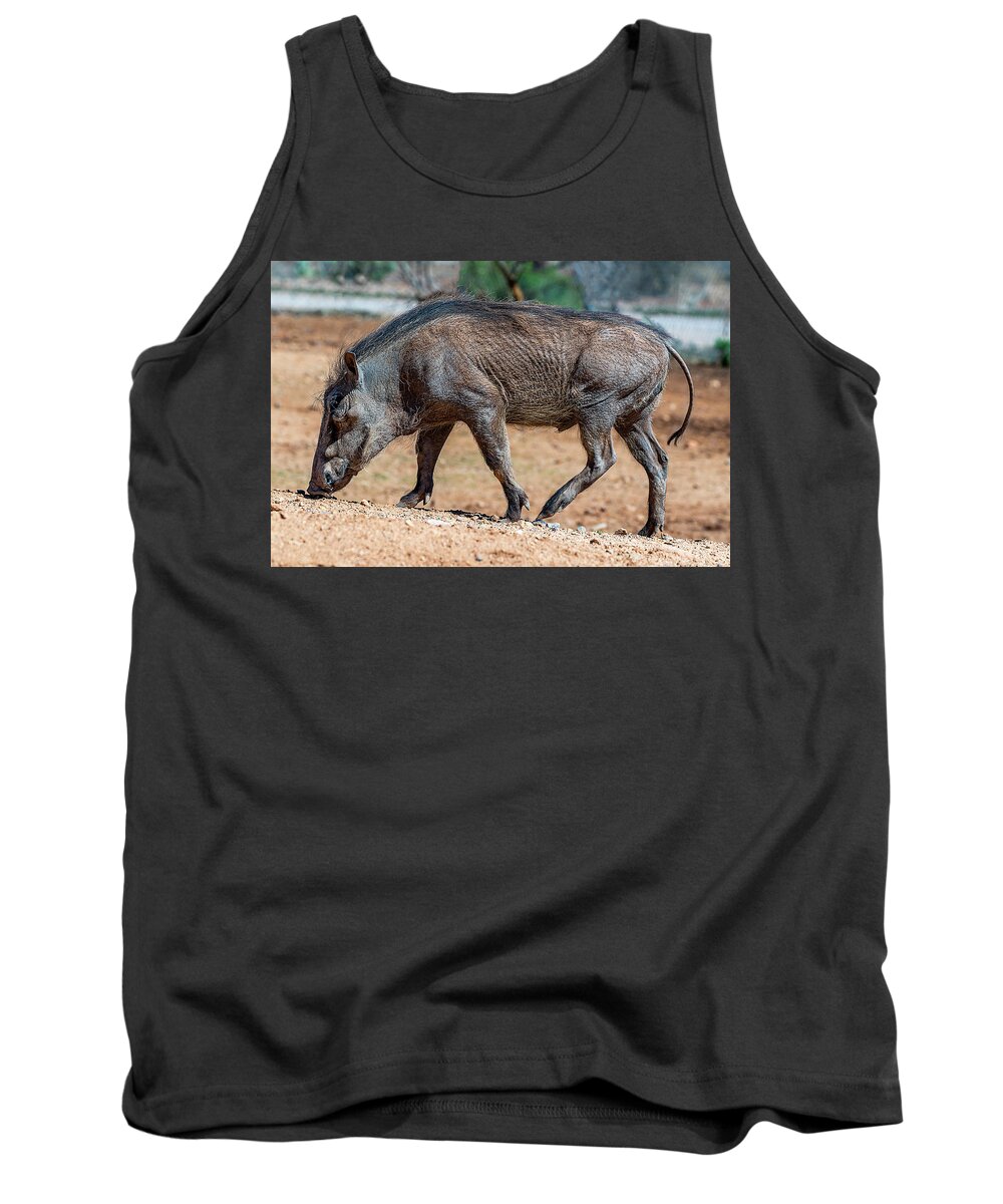  Tank Top featuring the photograph Warthog by Al Judge