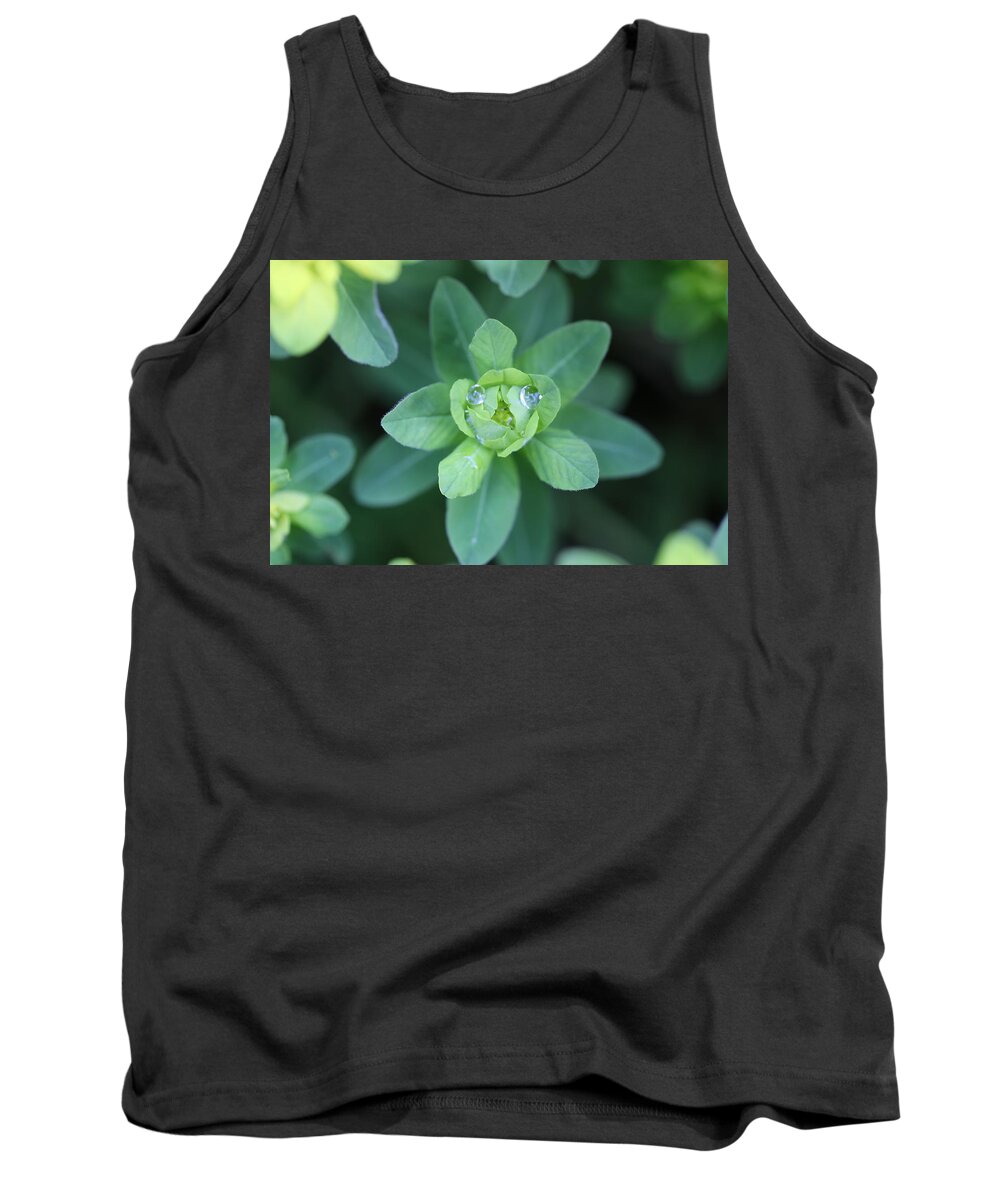 Water Drops Tank Top featuring the photograph Spurge Water Droplet Face by Tammy Pool