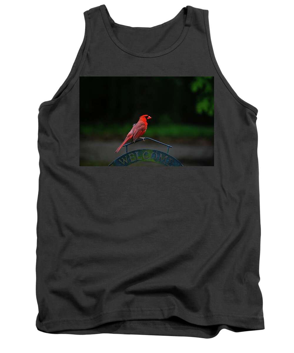 Cardinal Tank Top featuring the photograph Welcome by Linda Segerson
