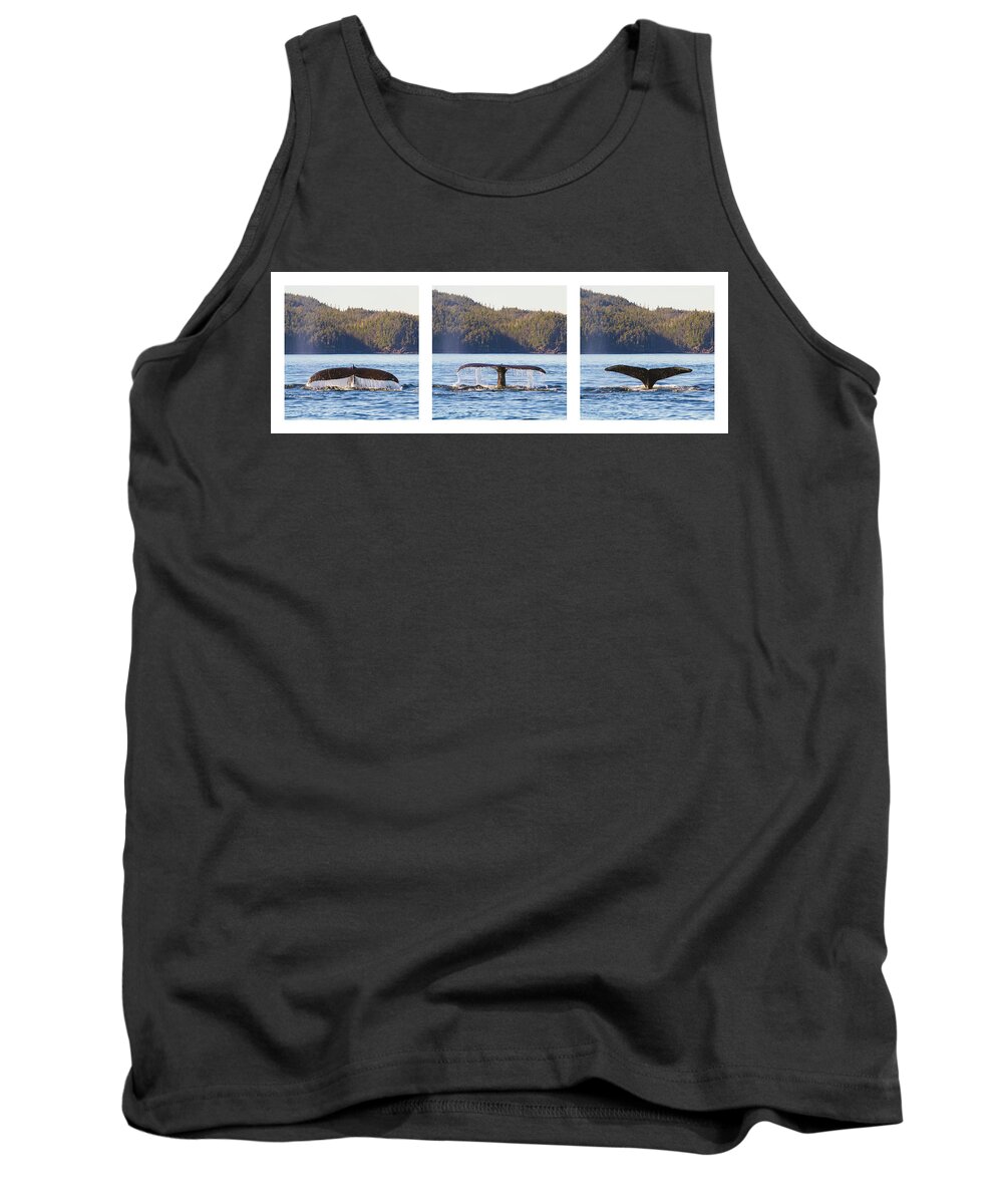 Whale Tank Top featuring the photograph Whale Tale Trio by Michael Rauwolf