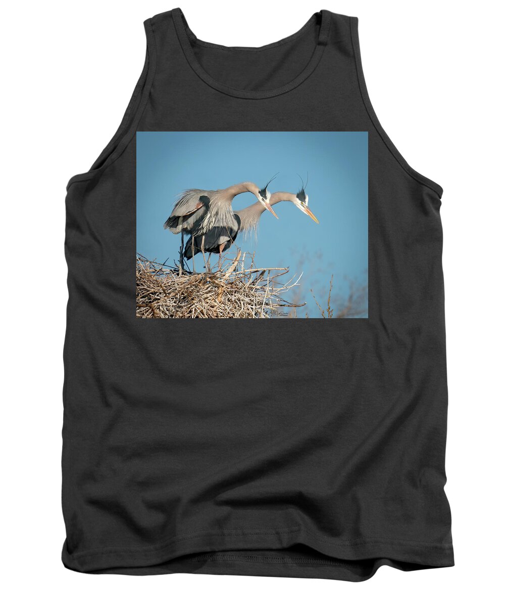Great Blue Tank Top featuring the photograph What are you lookin' at? by Judi Dressler