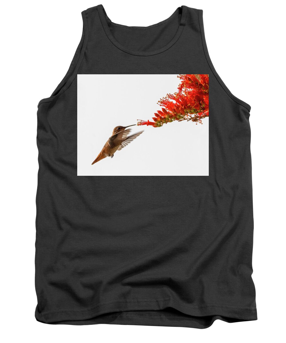 Hummingbird Tank Top featuring the photograph What's For Breakfast? by Joe Schofield