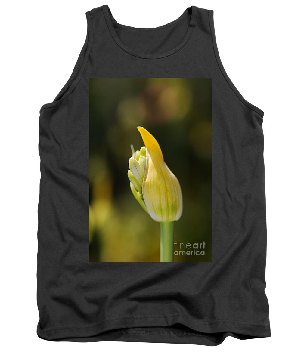 Lily Of The Nile Tank Top featuring the photograph White Agapanthus As Bud by Joy Watson