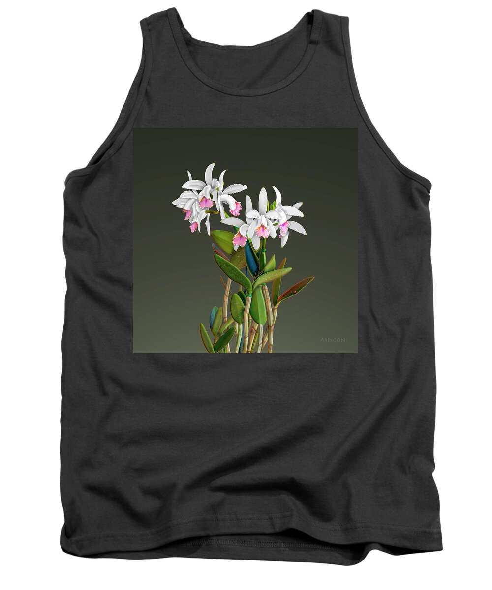 White Cattleya Orchids Tank Top featuring the painting White Cattleya Orchids by David Arrigoni