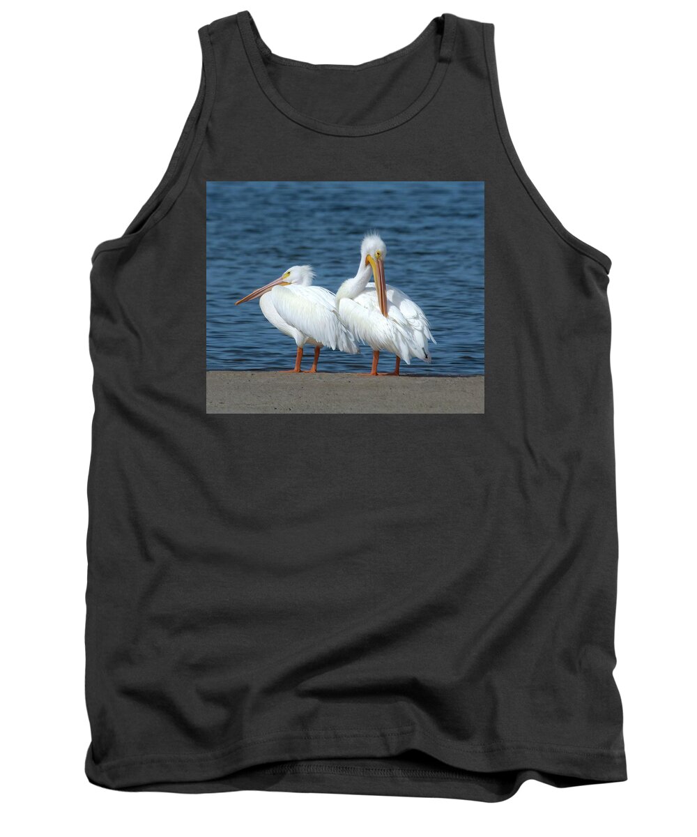 White Pelican Tank Top featuring the photograph White Pelicans by Rebecca Herranen