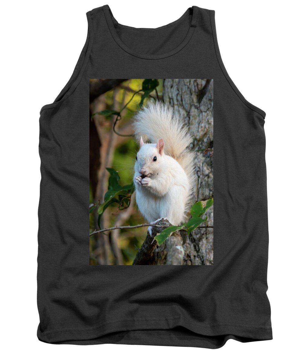 Squirrel Tank Top featuring the photograph White Squirrel Eating by Bradford Martin