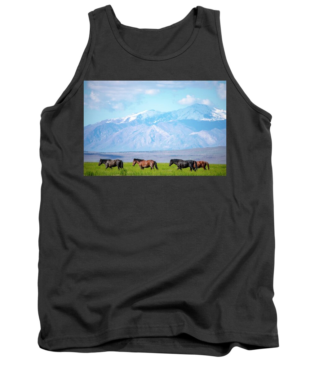  Wild Horses Tank Top featuring the photograph Wild American Mustangs by Dirk Johnson