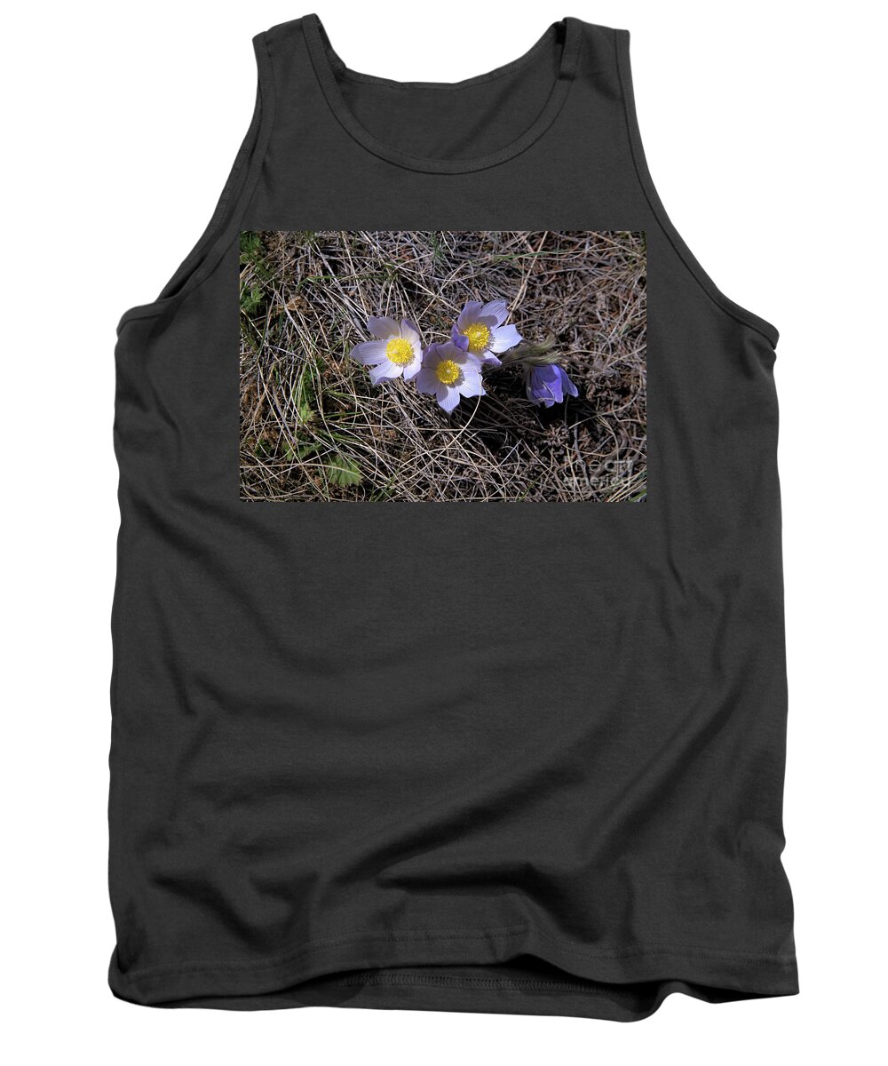 Nature Tank Top featuring the photograph Wild Crocus #1 by Kae Cheatham