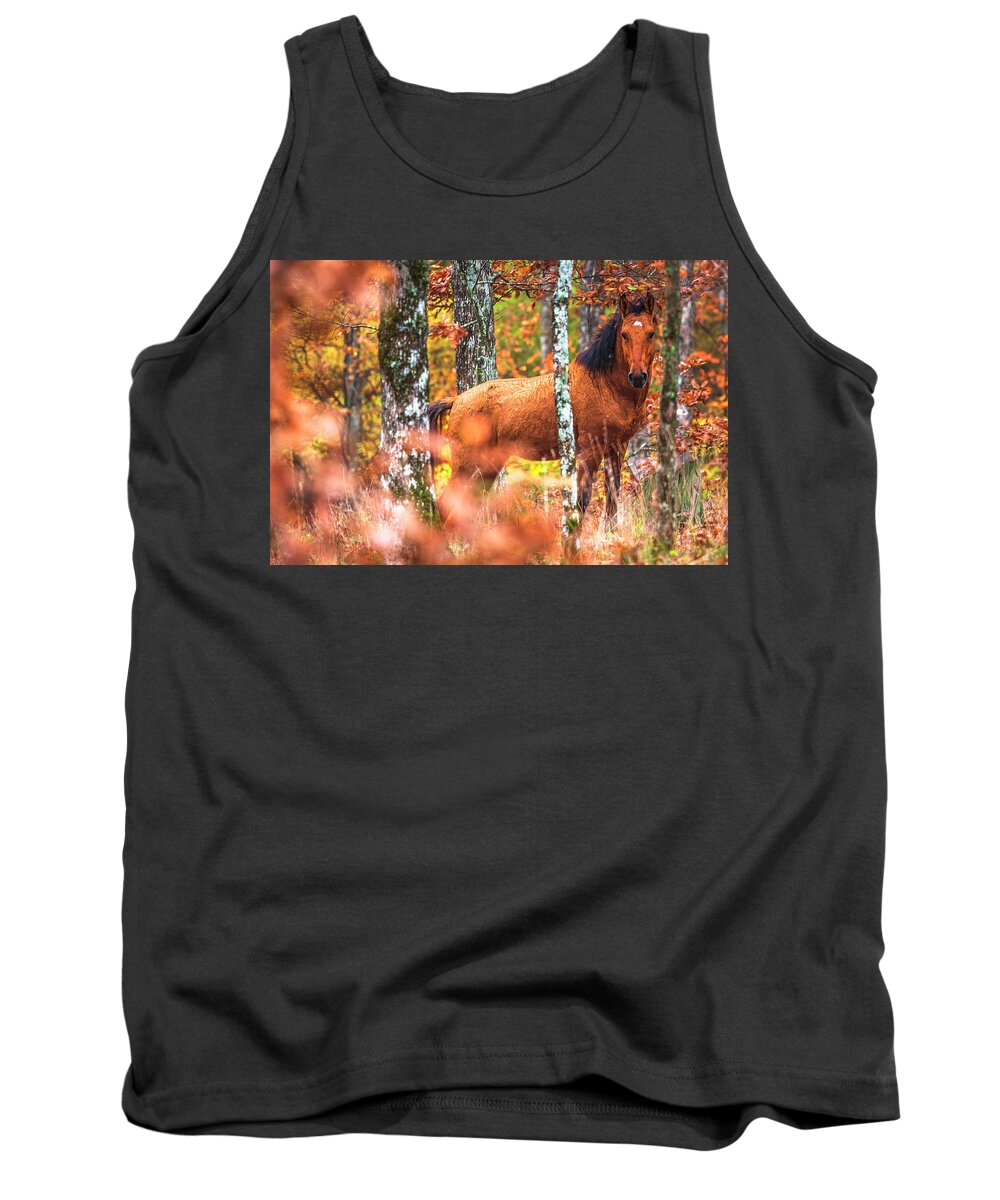 Animals Tank Top featuring the photograph Wild by Evgeni Dinev