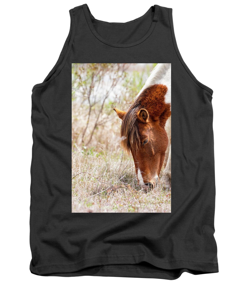 Farm Horses Tank Top featuring the photograph Wild Pinto - Spotted Horse by Rehna George
