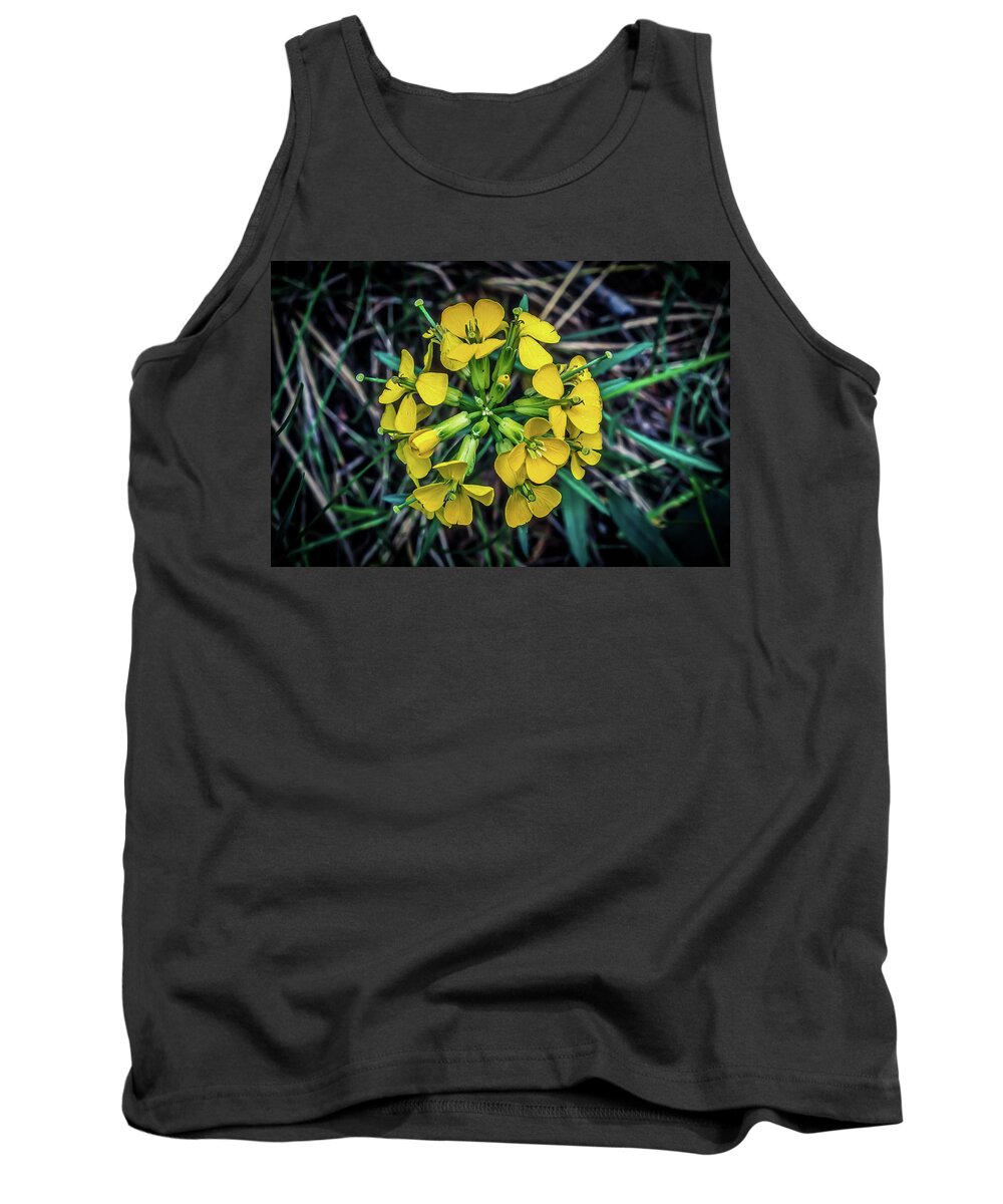 Flower Tank Top featuring the photograph Willow Grass of Montana by James C Richardson
