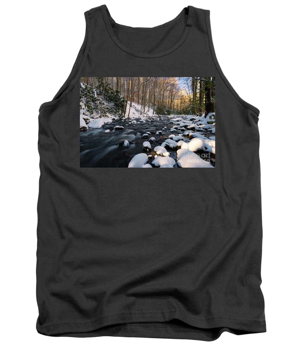 Doe Tank Top featuring the photograph Winter Along the Doe by Anthony Heflin