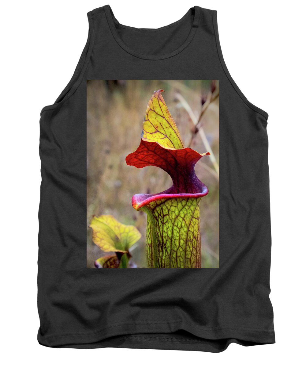 Pitcherplant Tank Top featuring the photograph Yellow Pitcherplant by Karen Wiles