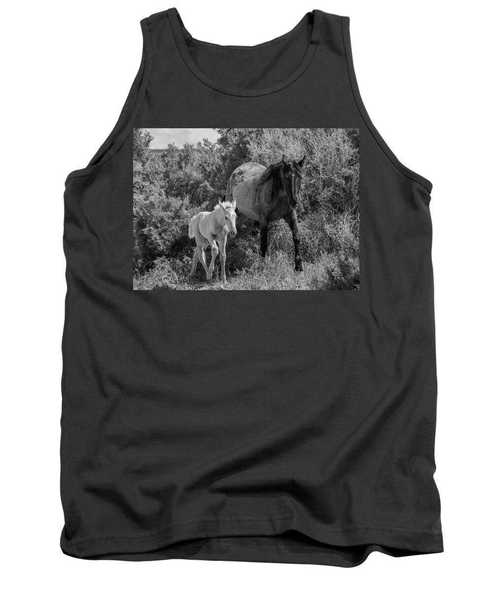 Wild Horse Tank Top featuring the photograph Young Prince by Dirk Johnson