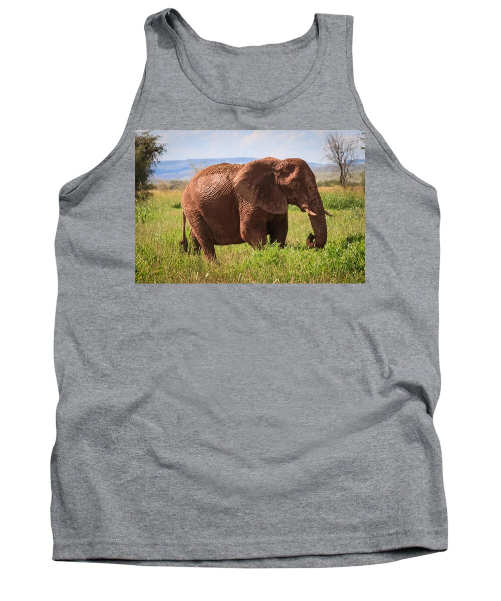Namibia Tank Top featuring the photograph African Desert Elephant #1 by Gregory Daley MPSA