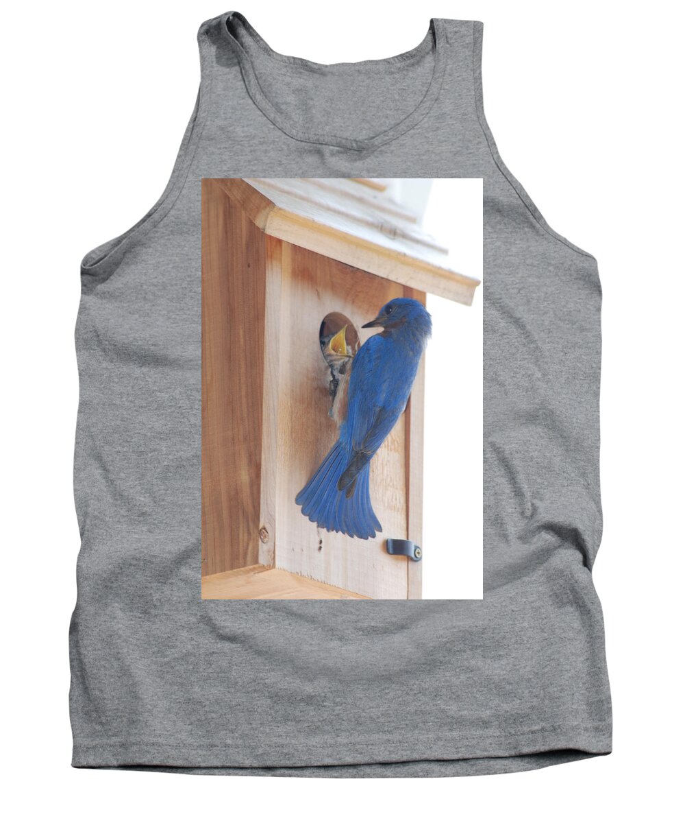 Bird Tank Top featuring the photograph Bluebird of Happiness #1 by Kenny Glover