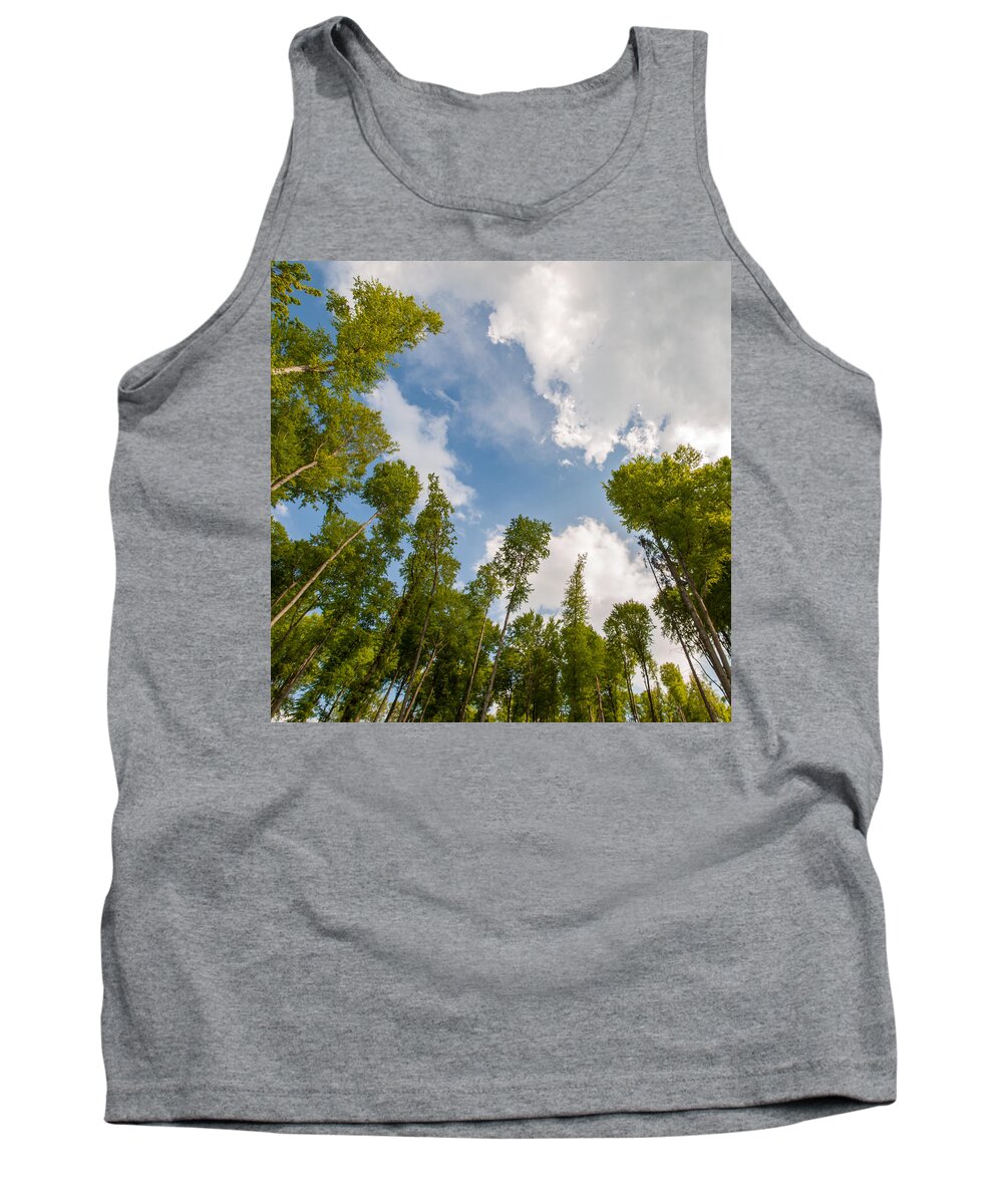 Landscapes Tank Top featuring the photograph Forest #1 by Davorin Mance