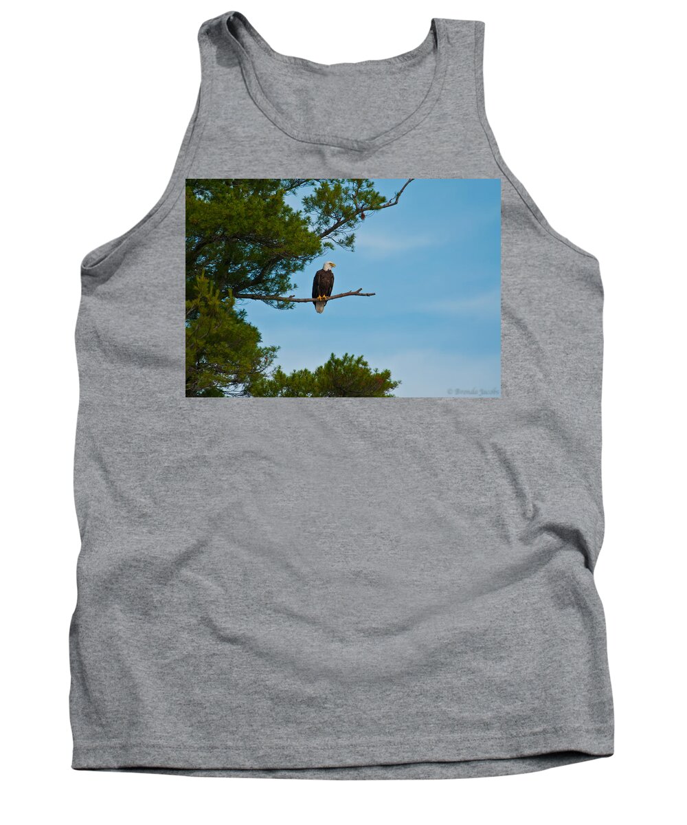 Bald Eagle Tank Top featuring the photograph Out on a Limb #1 by Brenda Jacobs